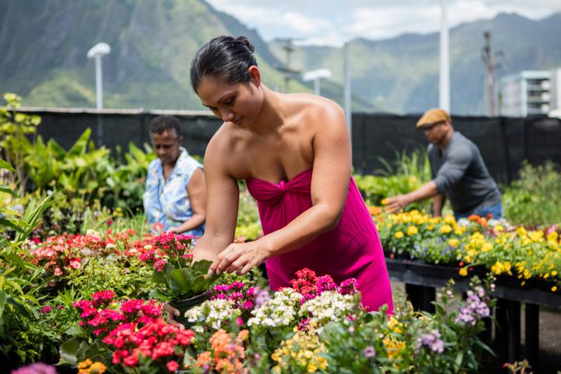 Young woman in dark pink dress, bending over and caring for potted plants on tables, with two people in the background