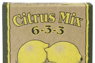 Box of Down To Earth Citrus Mix