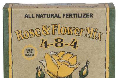 Box of Down To Earth Rose & Flower Mix